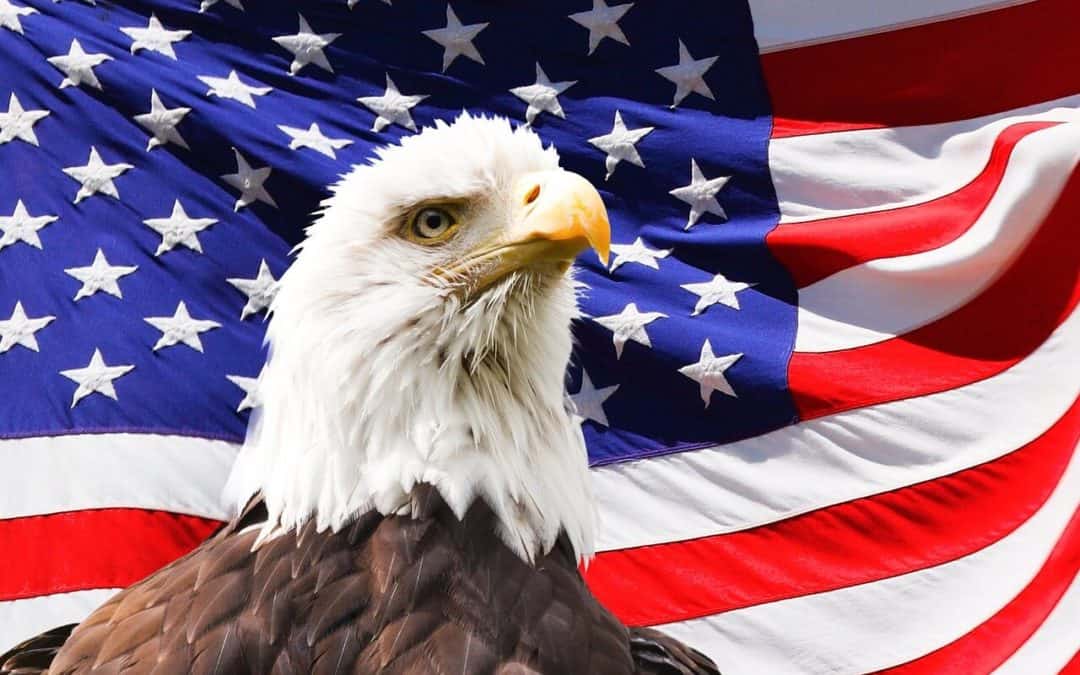 Första gången till USA