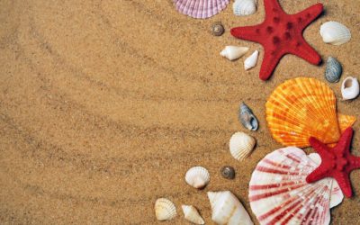 Boka sommarsemester