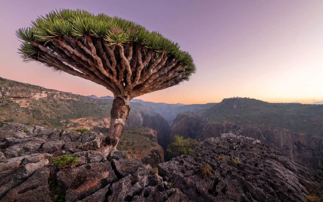 Utforska världens mest surrealistiska resmål