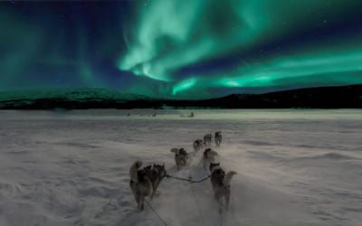 Boka en drömresa i vinter