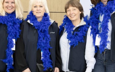 CASE: DeLaval sales Sweden