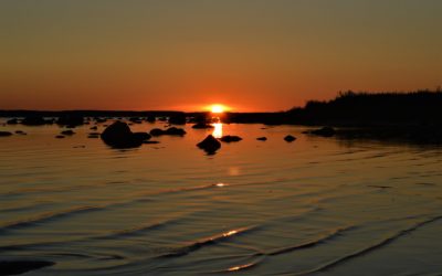 Utforska Estland