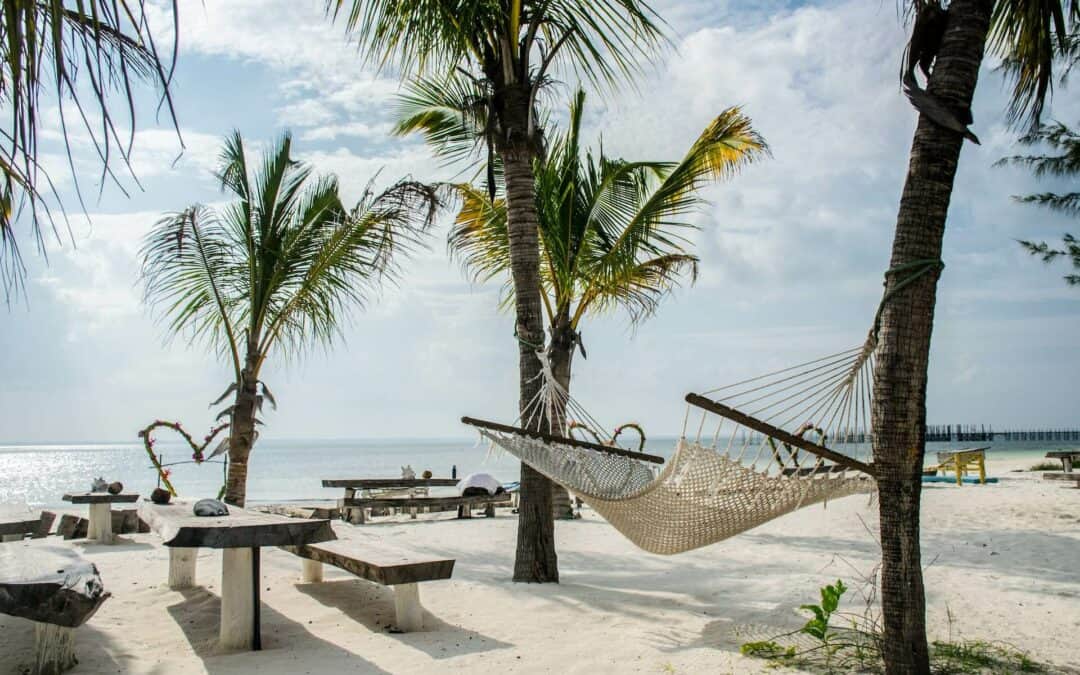 Resa till Zanzibar – allt du vill veta