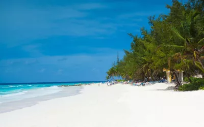 10 dygns all inclusive-kryssning i Karibien