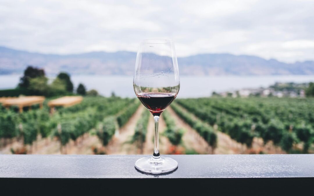 Ett glas med rödvin som står framför en vingårdsbakgrund.
