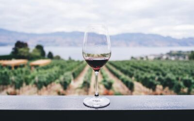 Vinresa till Frankrike: Upptäck Bordeaux & Champagne